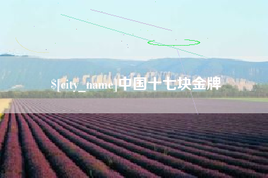 长葛中国十七块金牌