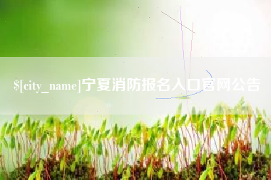 长葛宁夏消防报名入口官网公告