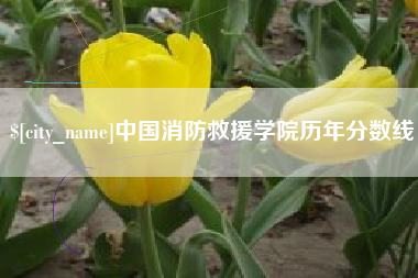 长葛中国消防救援学院历年分数线