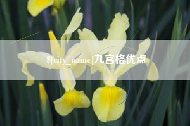 长葛九宫格优点