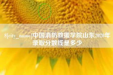 长葛中国消防救援学院山东2020年录取分数线是多少
