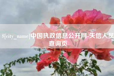 长葛中国执政信息公开网-失信人员查询页