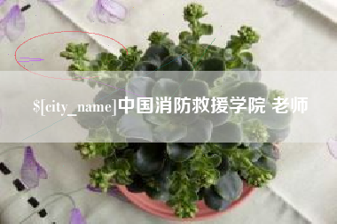 长葛中国消防救援学院 老师
