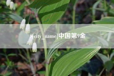 长葛中国第9金