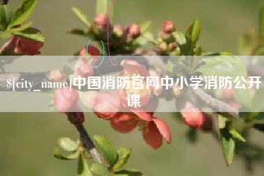 长葛中国消防官网中小学消防公开课