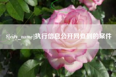 长葛执行信息公开网查到的案件