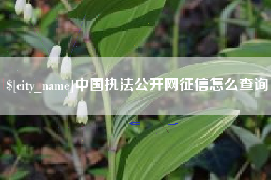 长葛中国执法公开网征信怎么查询