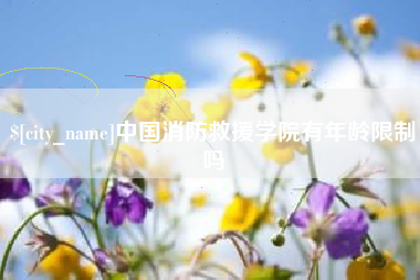 长葛中国消防救援学院有年龄限制吗