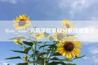 长葛消防学校录取分数线是多少