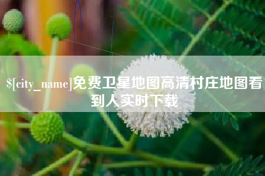 长葛免费卫星地图高清村庄地图看到人实时下载