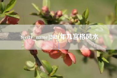 长葛2021年九宫格风水