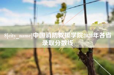 长葛中国消防救援学院2020年各省录取分数线