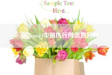 长葛中国执行网信息官网