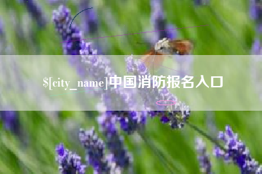 长葛中国消防报名入口