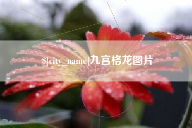长葛九宫格龙图片