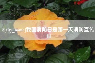 长葛我国消防日是哪一天消防宣传日