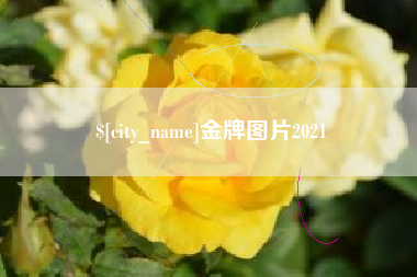 长葛金牌图片2021