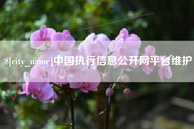 长葛中国执行信息公开网平台维护