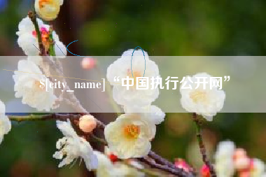 长葛“中国执行公开网”