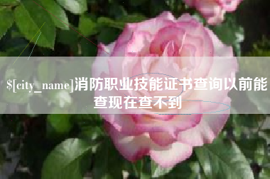 长葛消防职业技能证书查询以前能查现在查不到