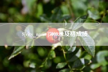 长葛5000米及格成绩