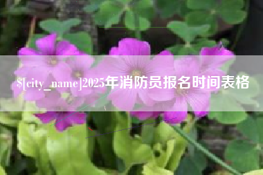 长葛2025年消防员报名时间表格
