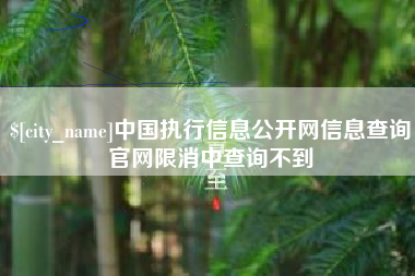 长葛中国执行信息公开网信息查询官网限消中查询不到