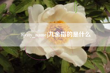 长葛九金指的是什么