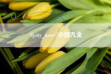 长葛中国九金