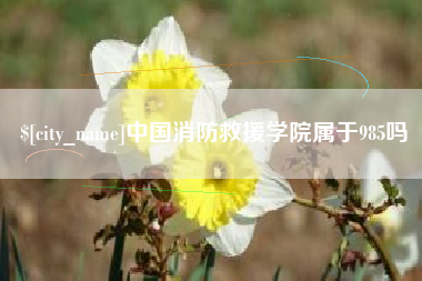 长葛中国消防救援学院属于985吗