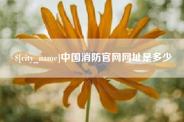 长葛中国消防官网网址是多少