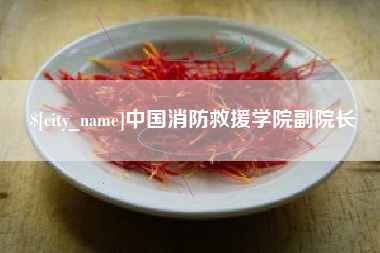 长葛中国消防救援学院副院长