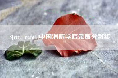 长葛中国消防学院录取分数线