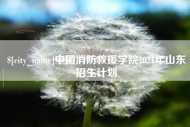 长葛中国消防救援学院2021年山东招生计划