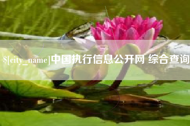 长葛中国执行信息公开网 综合查询