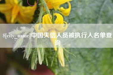 长葛中国失信人员被执行人名单查询
