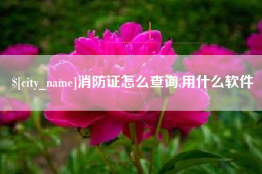 长葛消防证怎么查询,用什么软件