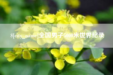 长葛全国男子5000米世界纪录