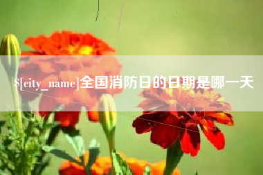 长葛全国消防日的日期是哪一天