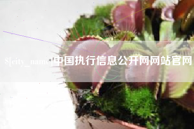 长葛中国执行信息公开网网站官网