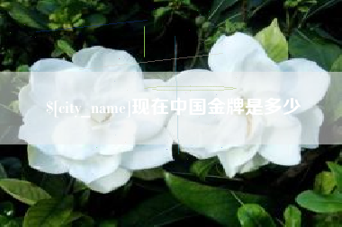 长葛现在中国金牌是多少