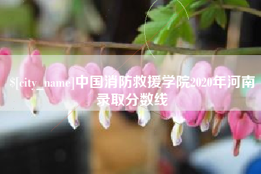 长葛中国消防救援学院2020年河南录取分数线