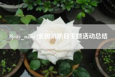 长葛全国消防日主题活动总结