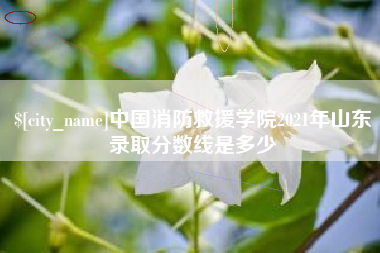 长葛中国消防救援学院2021年山东录取分数线是多少