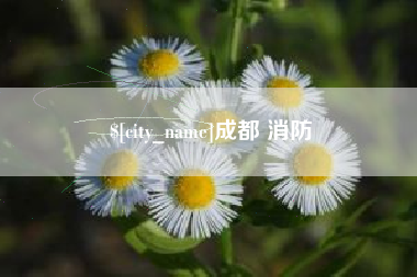 长葛成都 消防