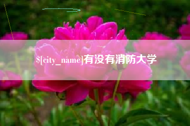 长葛有没有消防大学