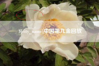长葛中国第九金回放