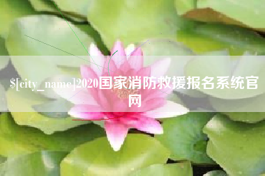 长葛2020国家消防救援报名系统官网