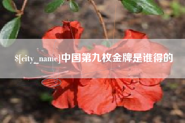 长葛中国第九枚金牌是谁得的