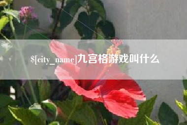 长葛九宫格游戏叫什么